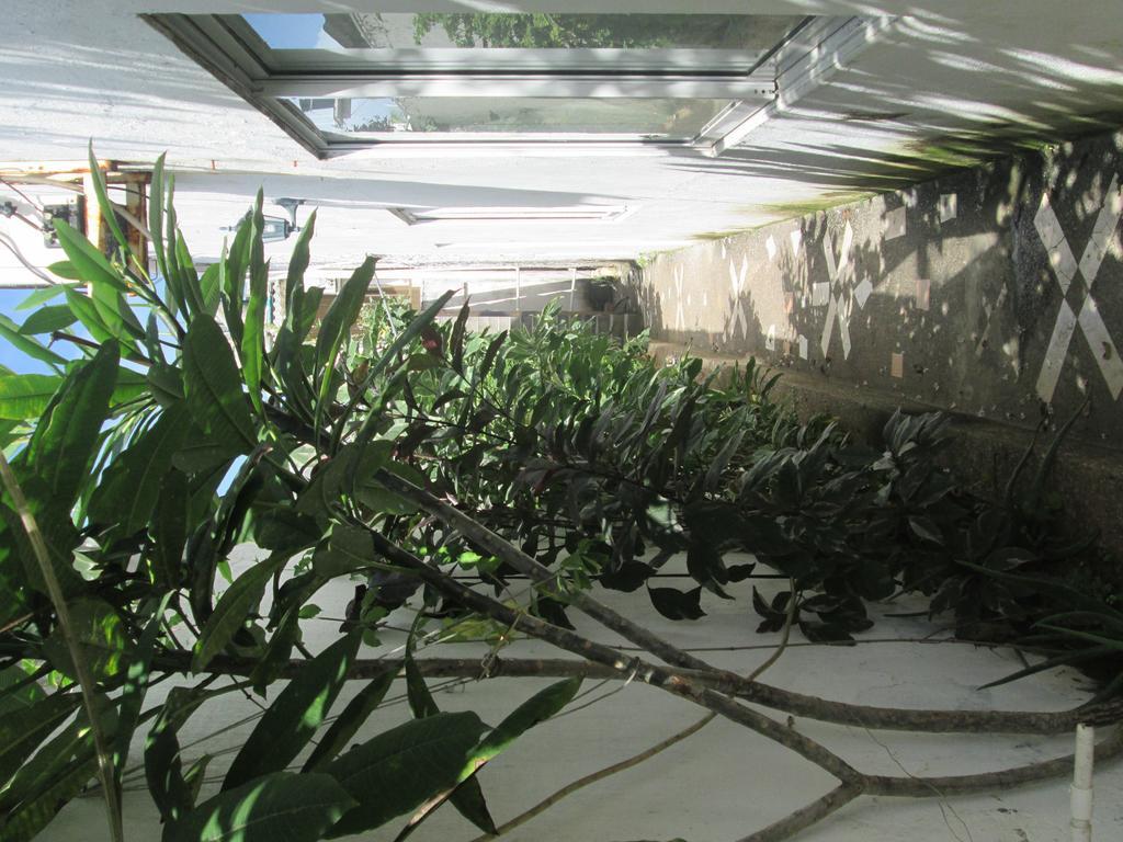 Hostal Poseidon Del Mar San Andrés Buitenkant foto